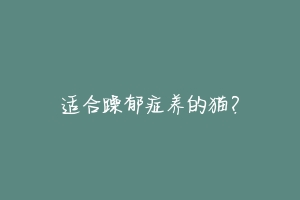 适合躁郁症养的猫?