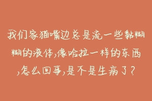 我们家猫嘴边总是流一些黏糊糊的液体,像哈拉一样的东西,怎么回事,是不是生病了?