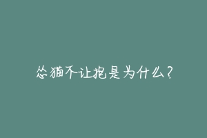 怂猫不让抱是为什么?