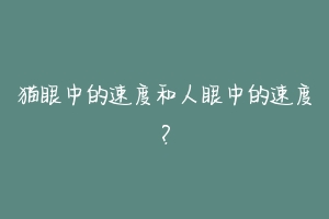 猫眼中的速度和人眼中的速度?