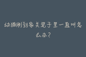 幼猫刚到家关笼子里一直叫怎么办?