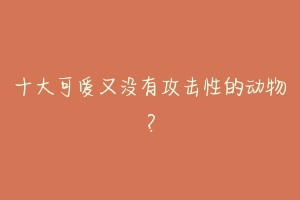 十大可爱又没有攻击性的动物？