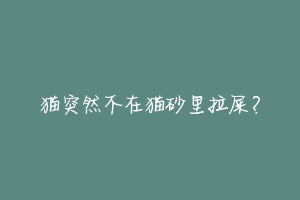 猫突然不在猫砂里拉屎?