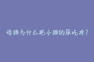 母猫为什么把小猫的尿吃掉?