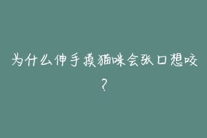 为什么伸手摸猫咪会张口想咬?