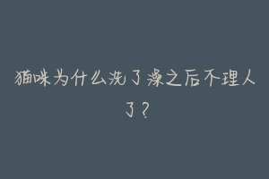 猫咪为什么洗了澡之后不理人了?