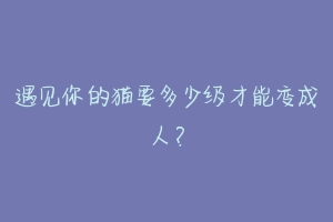 遇见你的猫要多少级才能变成人?