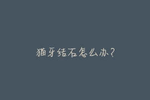 猫牙结石怎么办?
