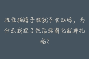 捏住猫脖子猫就不会动吗,为什么我捏了然后转圈它就挣扎呢?