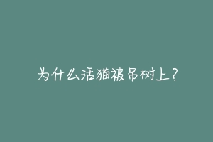 为什么活猫被吊树上?