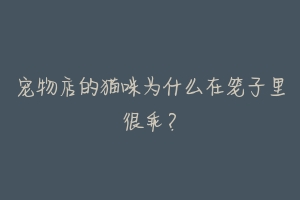 宠物店的猫咪为什么在笼子里很乖?