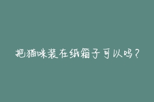 把猫咪装在纸箱子可以吗?