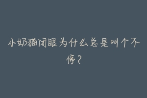 小奶猫闭眼为什么总是叫个不停?