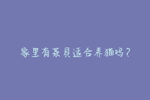 家里有茶具适合养猫吗?