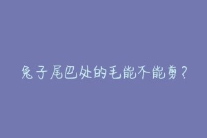 兔子尾巴处的毛能不能剪?
