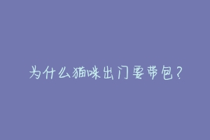 为什么猫咪出门要带包?