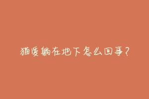 猫爱躺在地下怎么回事?