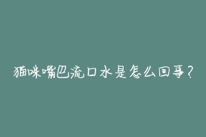 猫咪嘴巴流口水是怎么回事?