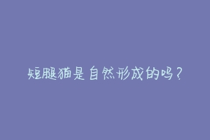 短腿猫是自然形成的吗?