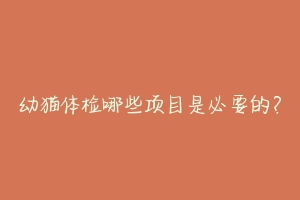 幼猫体检哪些项目是必要的?