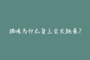 猫咪为什么身上会长跳蚤?