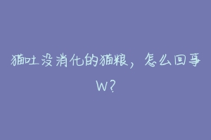 猫吐没消化的猫粮,怎么回事W?