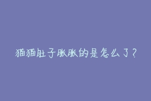 猫猫肚子胀胀的是怎么了？