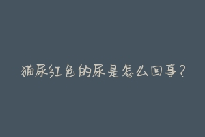 猫尿红色的尿是怎么回事?