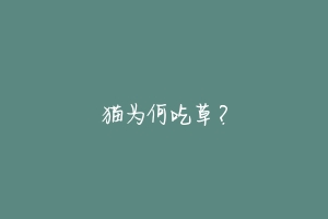 猫为何吃草?