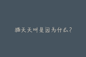 猫天天叫是因为什么?