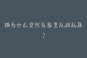 猫为什么突然在家里乱拉乱尿?