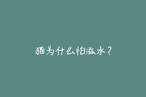 猫为什么怕滋水?