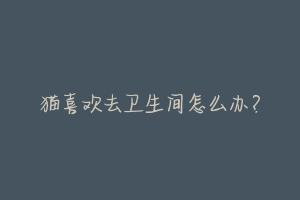 猫喜欢去卫生间怎么办?