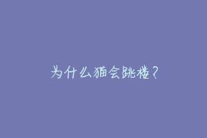 为什么猫会跳楼?