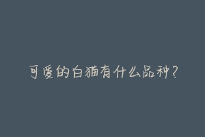 可爱的白猫有什么品种?