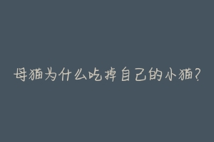 母猫为什么吃掉自己的小猫?