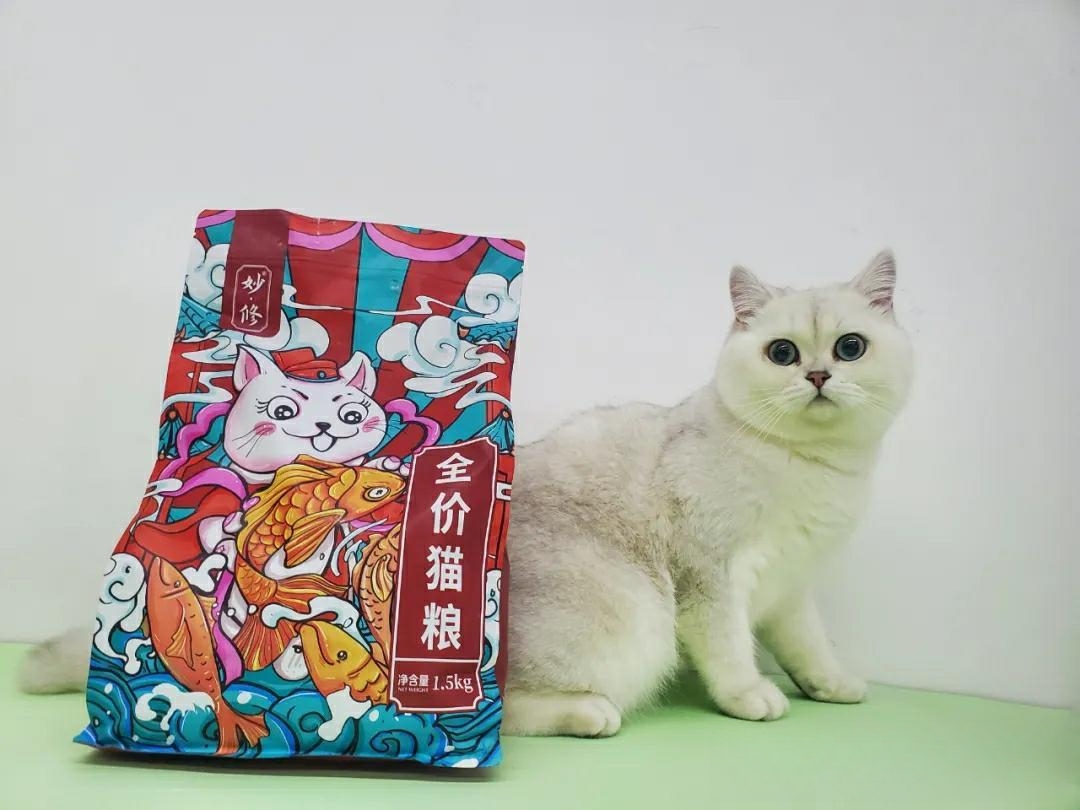 猫咪怎么增肥?