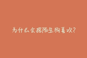 为什么会招陌生狗喜欢?