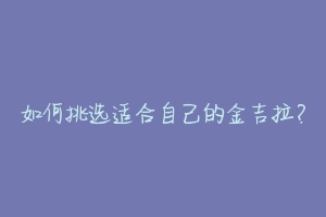 如何挑选适合自己的金吉拉?