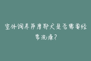 室外饲养萨摩耶犬是否需要经常洗澡?