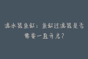 滤水器鱼缸:鱼缸过滤器是否需要一直开启?