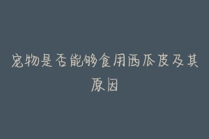 宠物是否能够食用西瓜皮及其原因