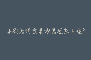 小狗为何会喜欢靠近床下呢?
