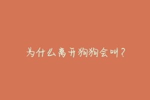 为什么离开狗狗会叫?