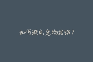 如何避免宠物挨饿?