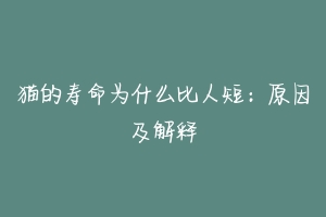 猫的寿命为什么比人短:原因及解释