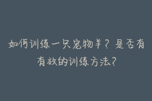 如何训练一只宠物羊?是否有有效的训练方法?