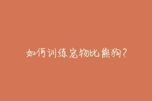 如何训练宠物比熊狗?