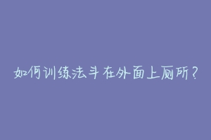 如何训练法斗在外面上厕所?