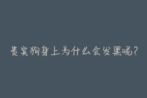 贵宾狗身上为什么会发黑呢?